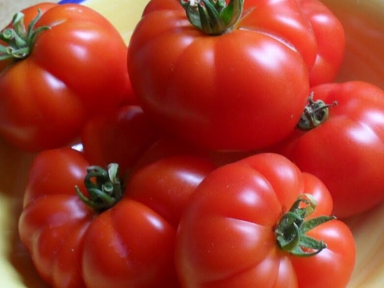 ультраскороспелые сорта томатов марманде